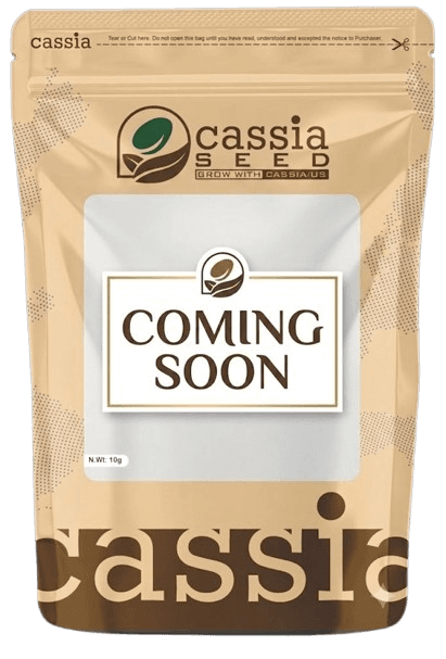 Coming Soon